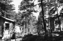 Mökit sijoittuvat metsän siimekseen